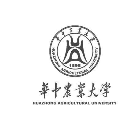 华中师范大学