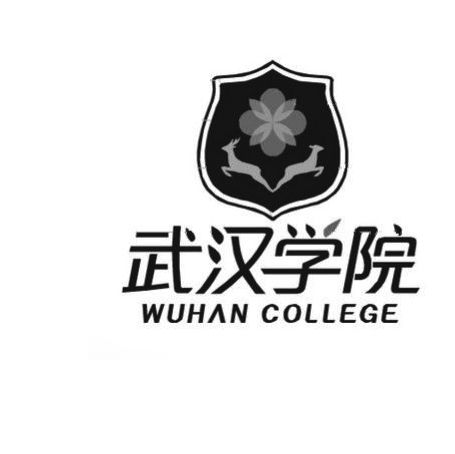 武汉学院